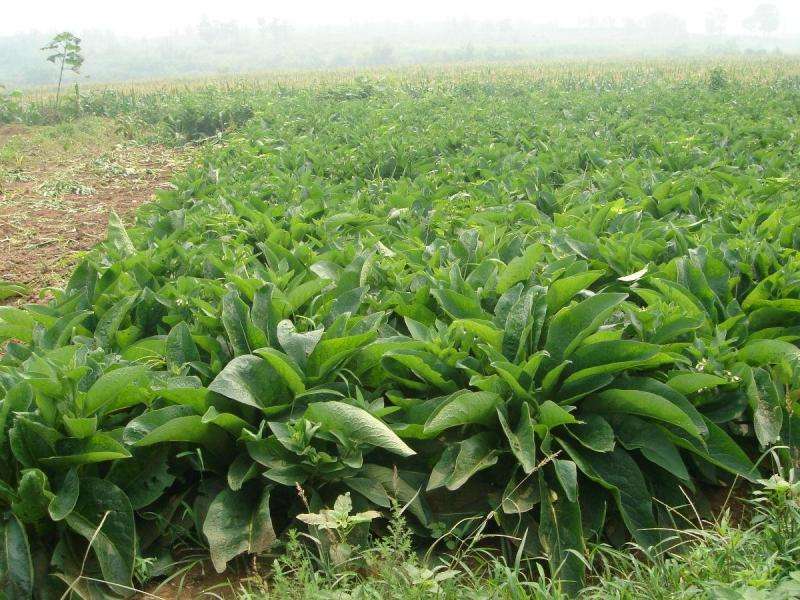 1597227542376881.jpg 1597227542376881.jpg