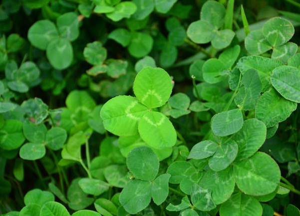 1632962662441114.jpg image.jpg