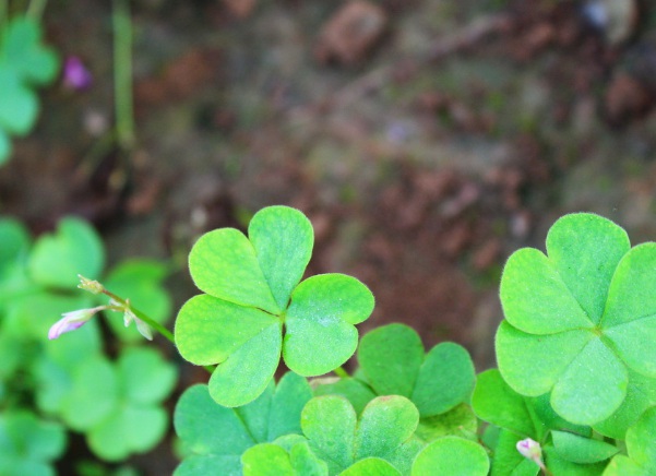 1632964339895190.jpg image.jpg