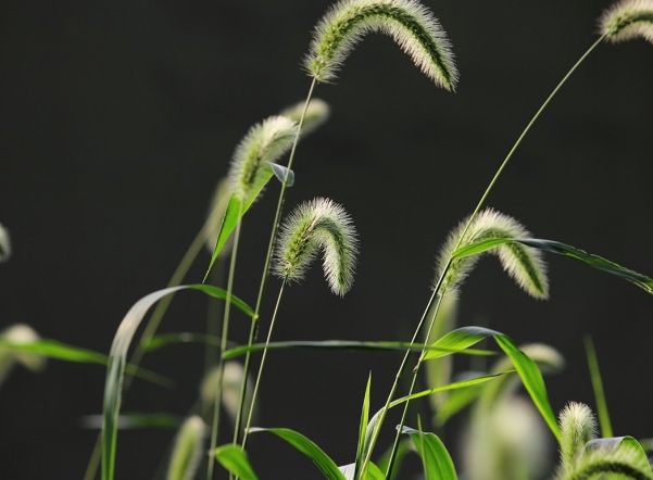 1632965239762669.jpg image.jpg