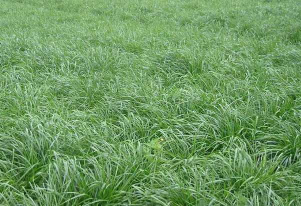 1632965331808169.jpg image.jpg