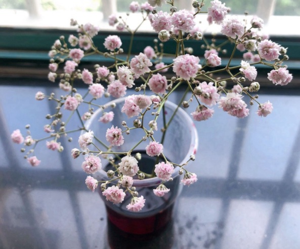 1632979507807707.jpg image.jpg