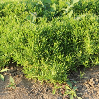 1632987390981335.jpg 1632987390981335.jpg