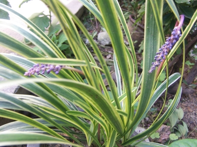 1632988308900063.jpg 1632988308900063.jpg