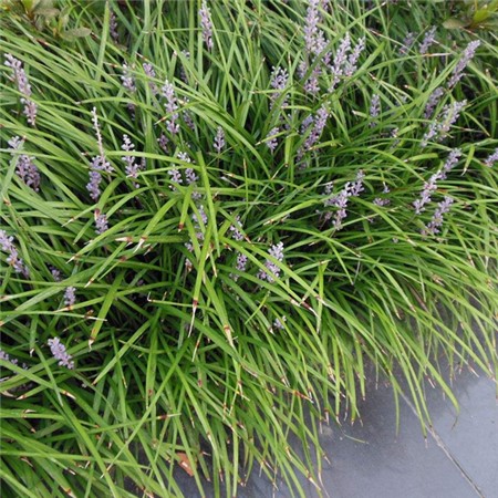 1632988873555543.jpg 1632988873555543.jpg