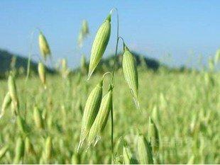 1632989303418286.jpg 1632989303418286.jpg