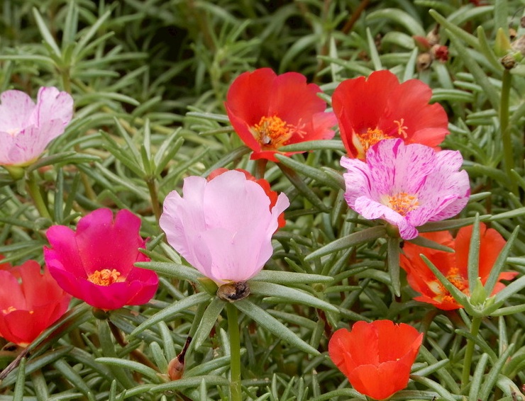 1632998062648642.jpg image.jpg