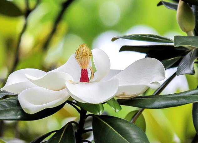 1633339584490759.jpg 1633339584490759.jpg