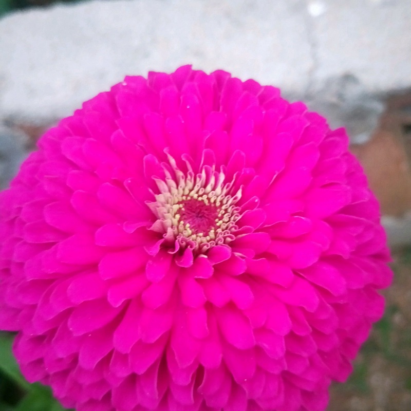 1633612513668238.jpg 5223bc41ad0c71736afb0bddd259ee72_1587632715229555.jpg