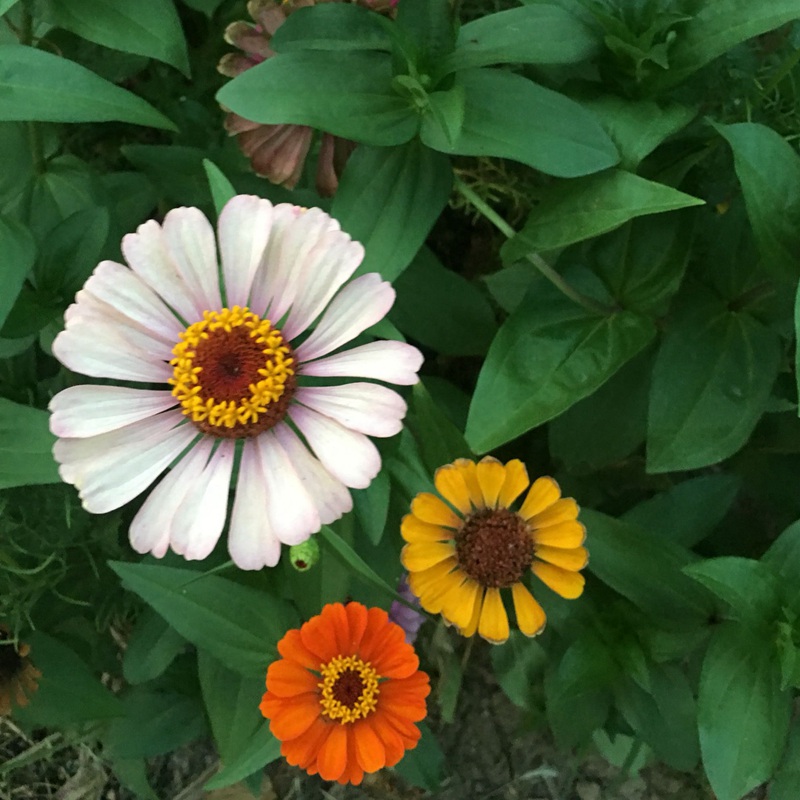 1633616132612794.jpg 8d0ff51fa7e339ba4c4f2ad1b7a81be8_1587632747119205.jpg