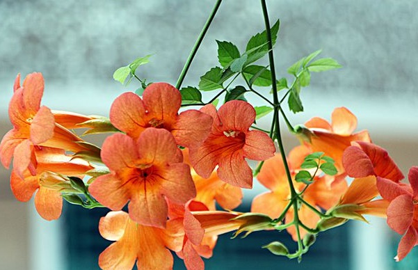 1633760728914150.jpg image.jpg