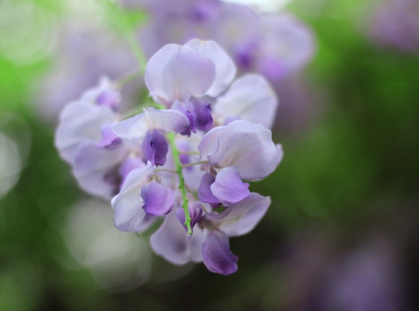 1633762050460128.jpg image.jpg