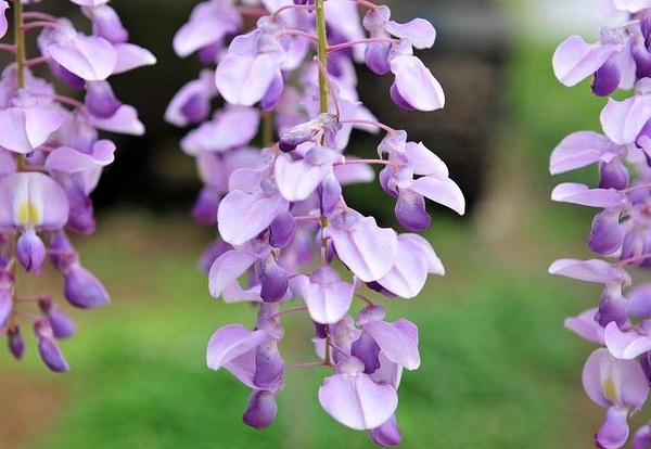 1633762073579413.jpg image.jpg