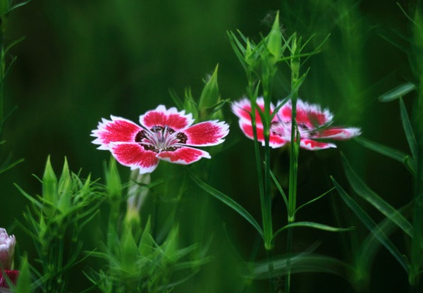 1633762780842468.jpg image.jpg