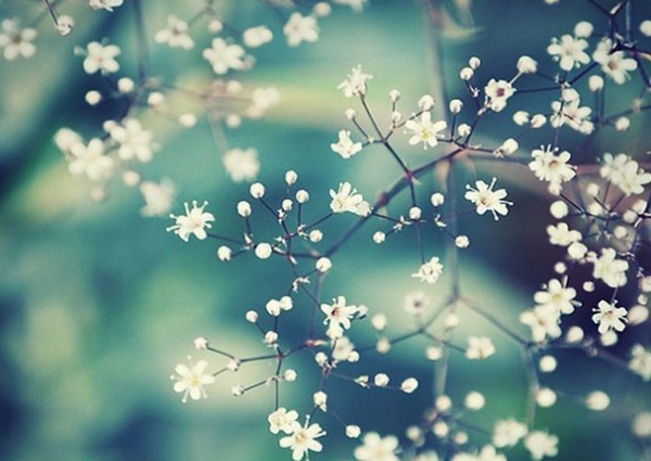 1633859001908417.jpg image.jpg