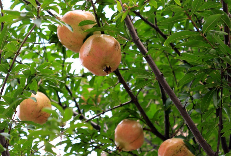 1633876473567264.jpg 1633875444(1).jpg