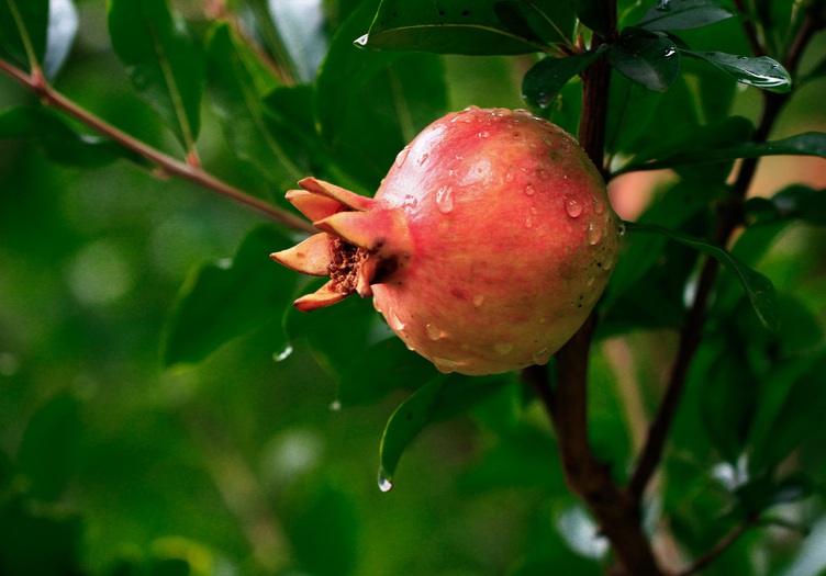 1633876492731906.jpg 1633875362(1).jpg