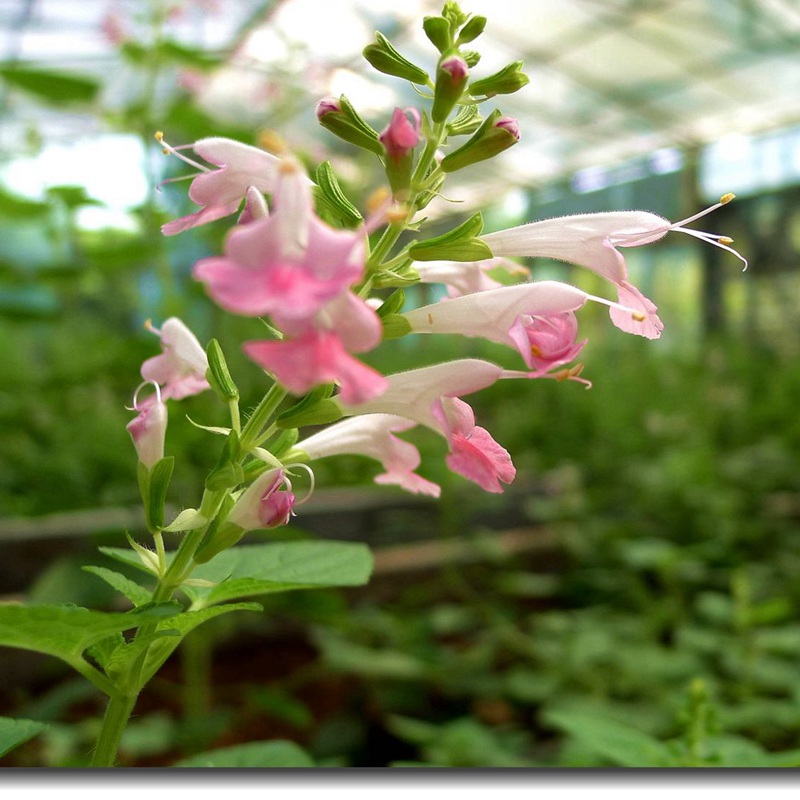 1633958305755378.jpg 1633958305755378.jpg