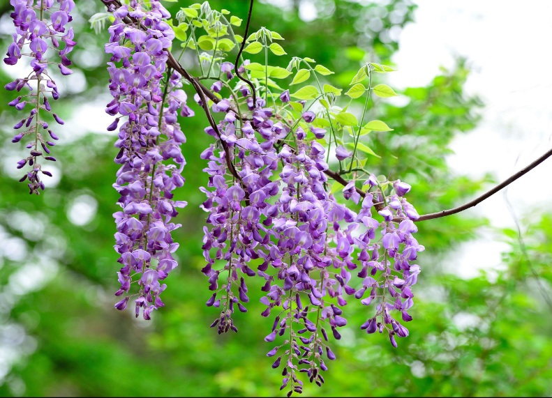 1634028933512793.jpg 1634028933512793.jpg