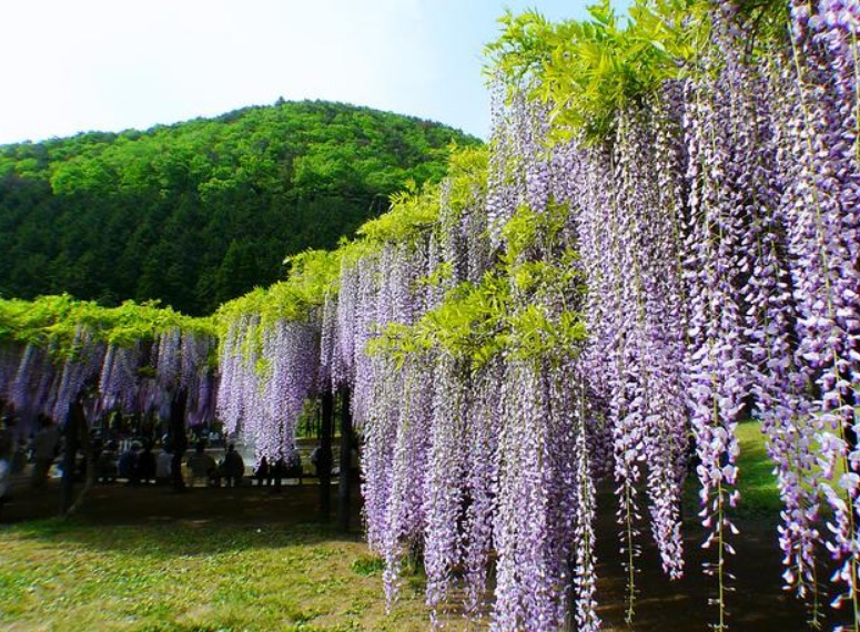 1634028940714357.jpg 1634028940714357.jpg