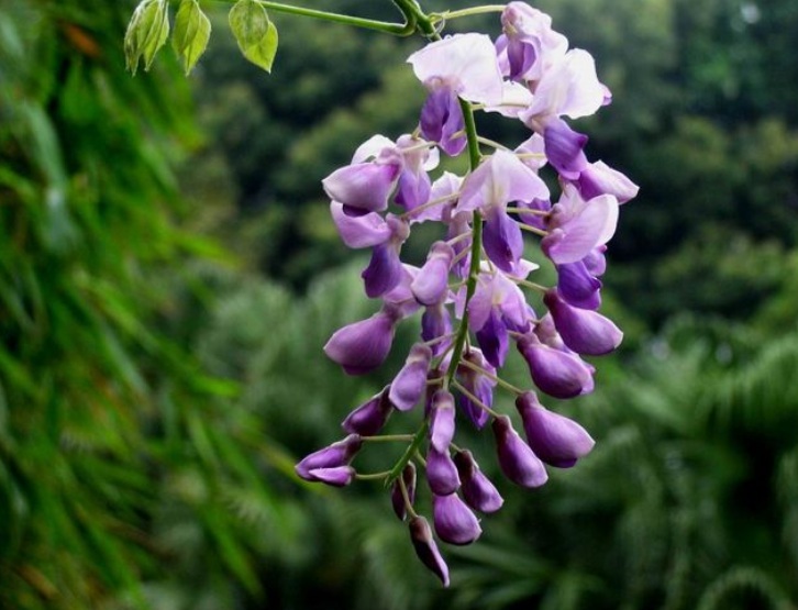 1634028952590557.jpg 1634028952590557.jpg