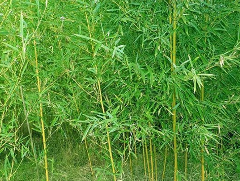 1634029189341996.jpg 161616.jpg