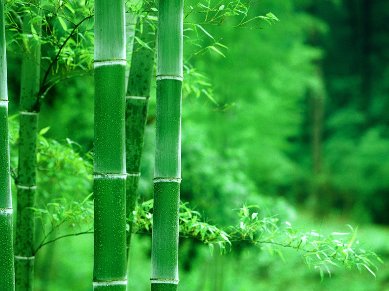 1634029200842791.jpg 16.jpg