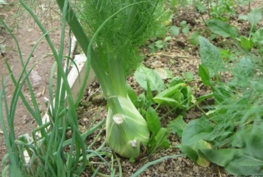 1634107507585318.jpg image.jpg