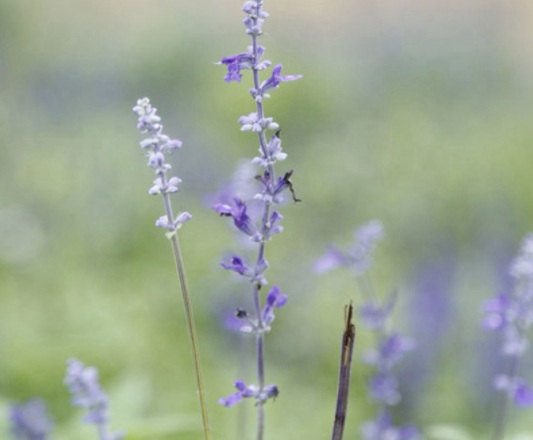 1634109458313676.jpg image.jpg