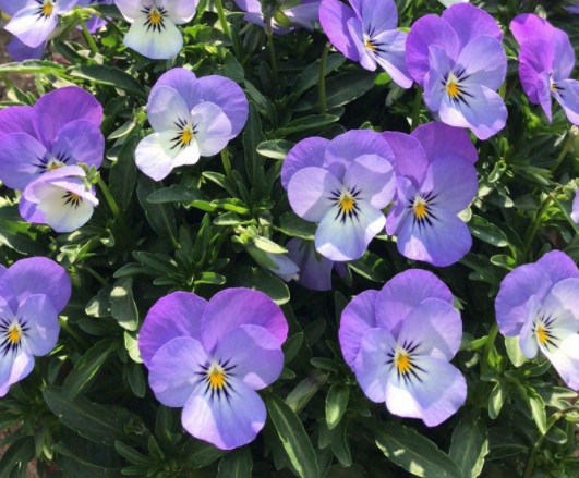 1634109791801592.jpg image.jpg