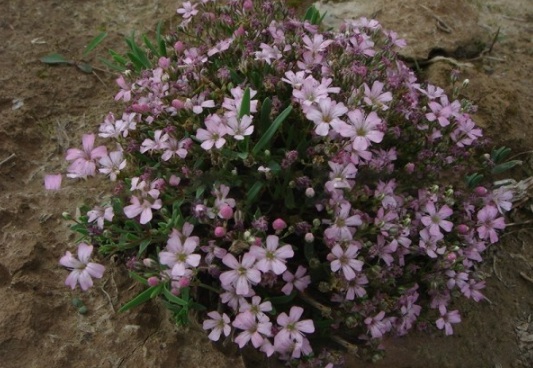 1634110960866439.jpg image.jpg