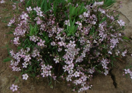 1634110969365679.jpg image.jpg