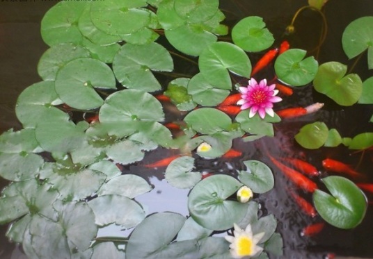 1634111050252769.jpg image.jpg