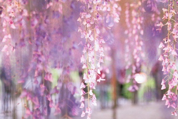 1634118273606627.jpg image.jpg