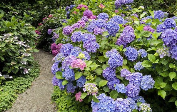 1634118360837603.jpg image.jpg