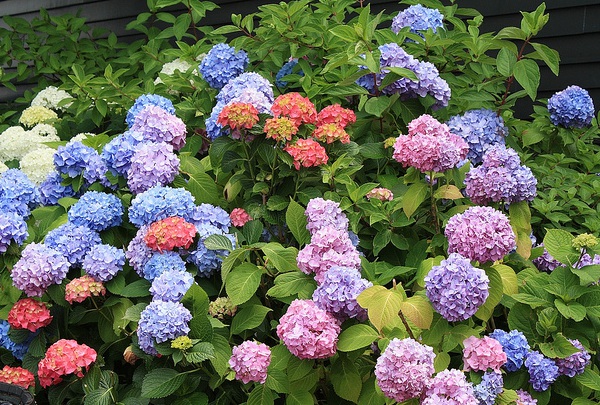 1634118395538275.jpg image.jpg