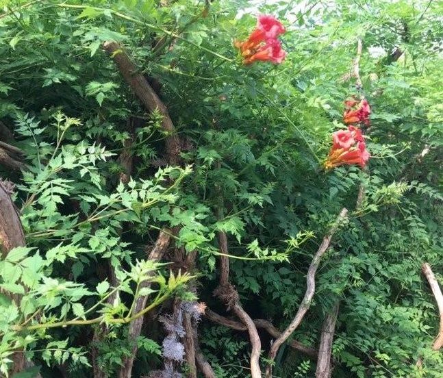 1634118426905574.jpg 圖片.jpg