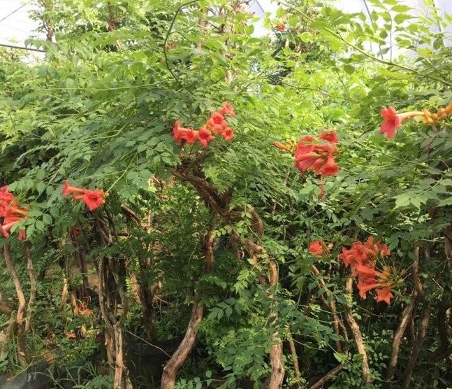 1634119469850941.jpg 圖片.jpg