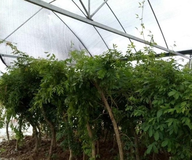 1634119484293924.jpg 圖片.jpg