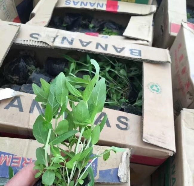 1634120070862831.jpg 圖片.jpg