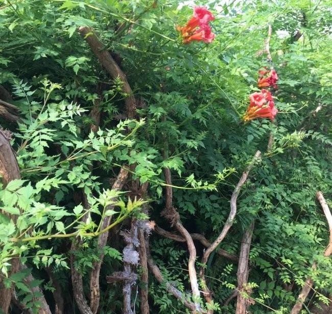 1634120140160650.jpg 圖片.jpg