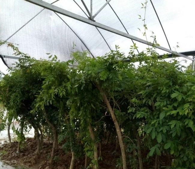 1634120156347235.jpg 圖片.jpg