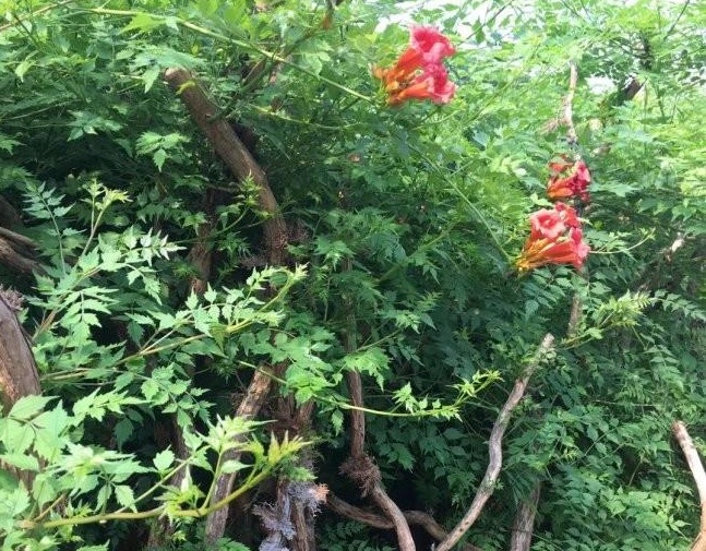 1634120167341824.jpg 圖片.jpg