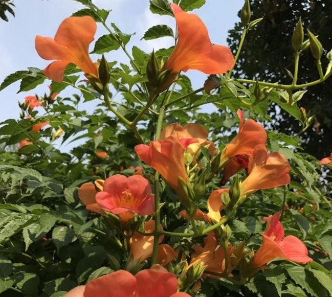 1634120247146861.jpg 圖片.jpg