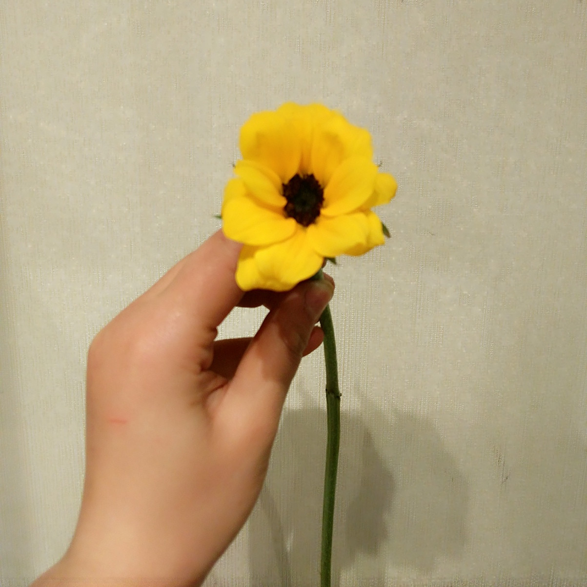 1634122533657680.jpeg 1634122533657680.jpeg