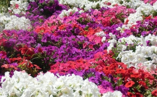 1634193899871606.jpg image.jpg