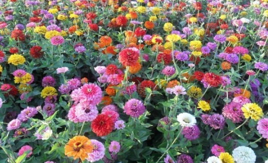 1634193909186447.jpg image.jpg