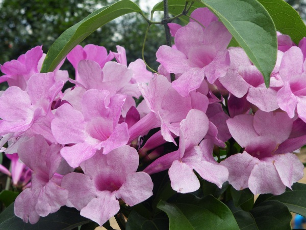 1634348713693709.jpg image.jpg