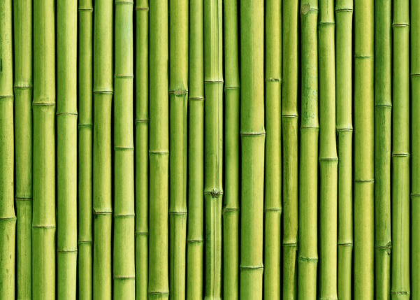 1634359869178259.jpg image.jpg