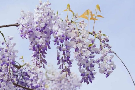 1634359999123606.jpg image.jpg